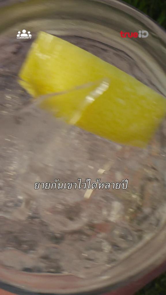 ฮาโลวีนนี้ อยู่บ้านดูหนังสนุกทีทรูไอดี แล้วมาร่วมสนุกรับรางวัลที่คอมมูนิตี้