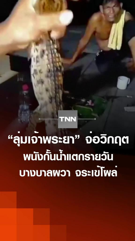 ลุ่มเจ้าพระยา จ่อวิกฤต พนังกั้นน้ำแตกรายวัน บางบาลผวา จระเข้โผล่