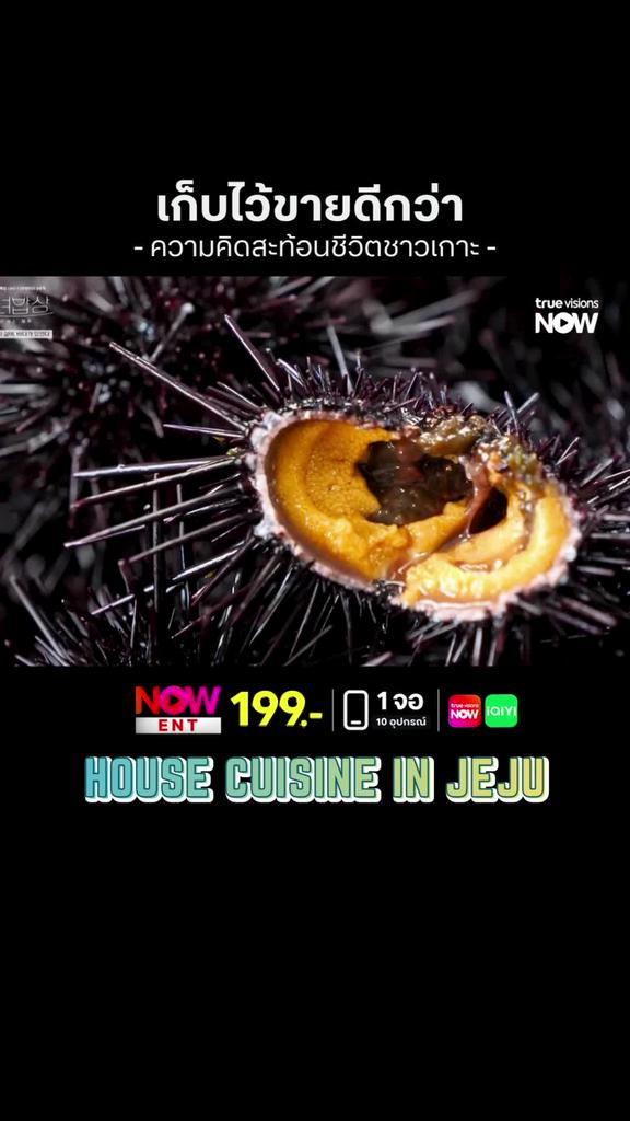 เอาไปขายดีกว่า l HOUSE CUISINE IN JEJU