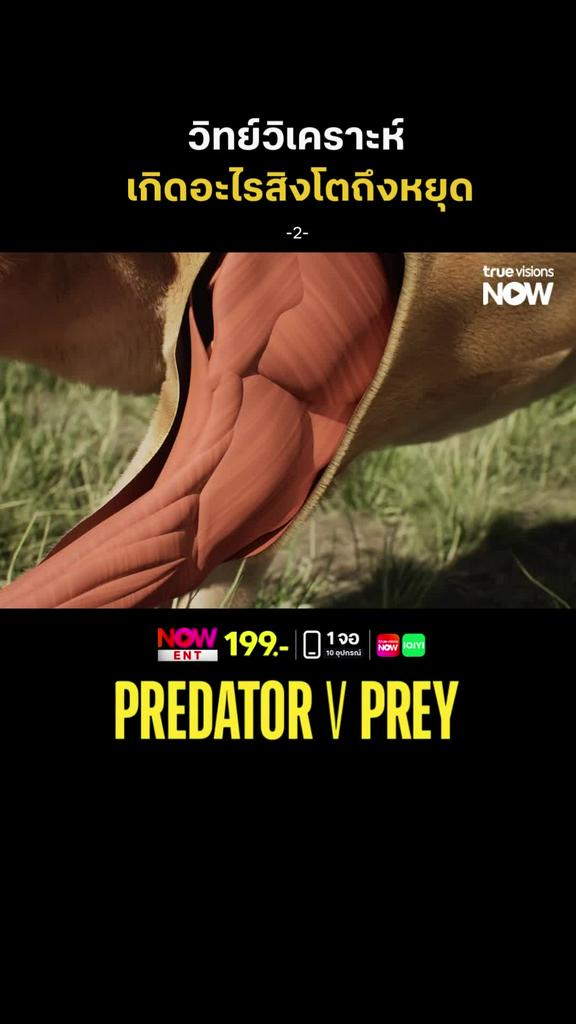 วิทยาศาสตร์อธิบายให้แล้ว l PREDATOR V PREY
