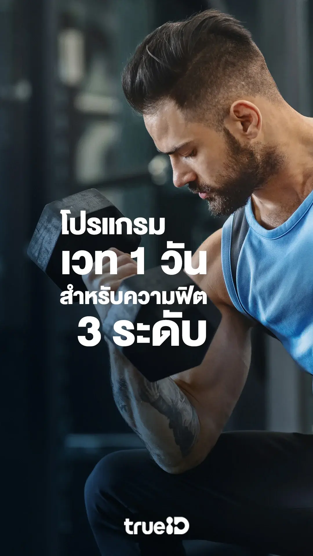 โปรแกรมเวท 1 วัน สำหรับความฟิต 3 ระดับ