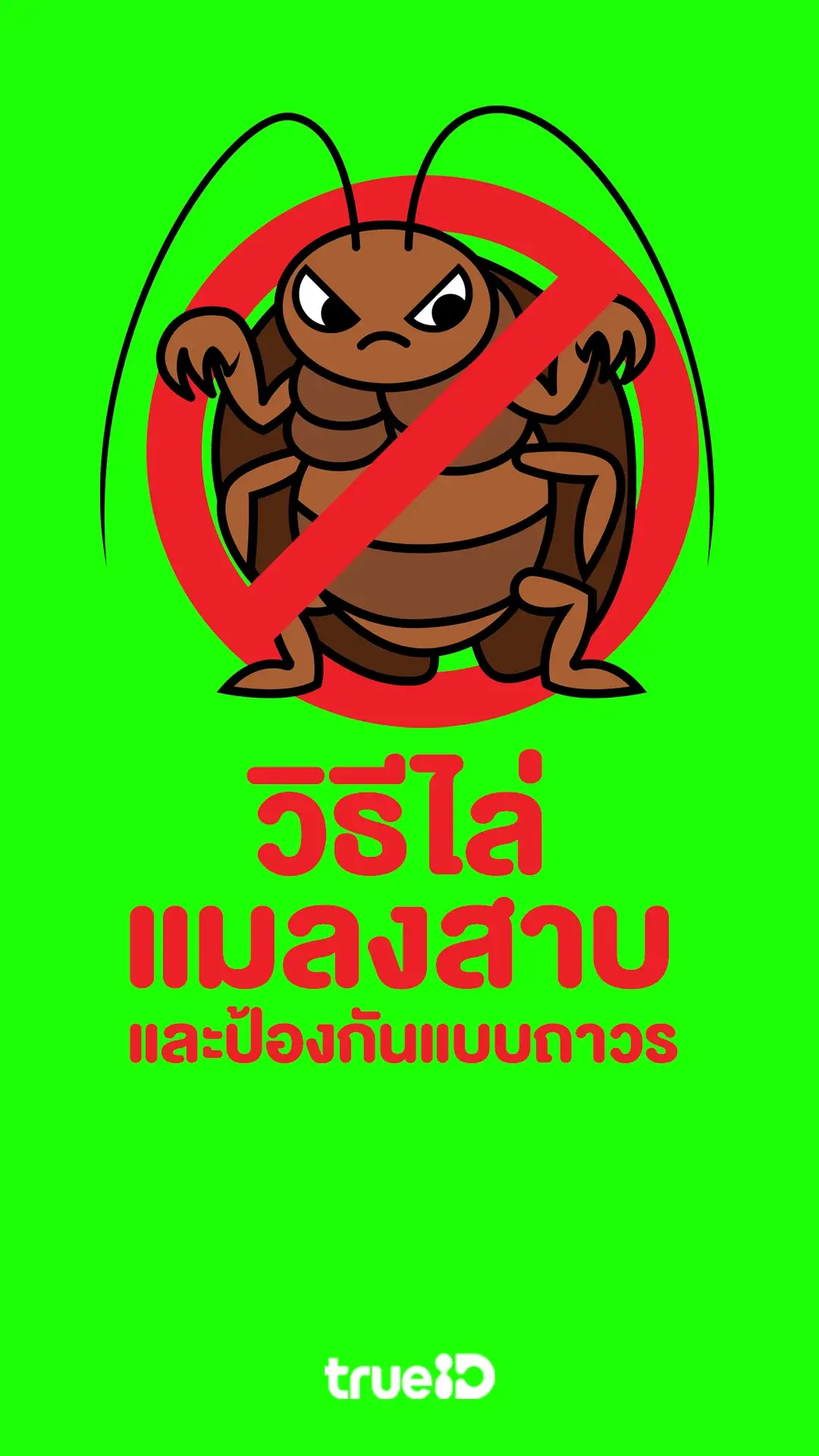 เคล็ดลับพ่อบ้านคืนความสุขให้ครอบครัว วิธีไล่แมลงสาบออกจากบ้าน และป้องกันแบบถาวร