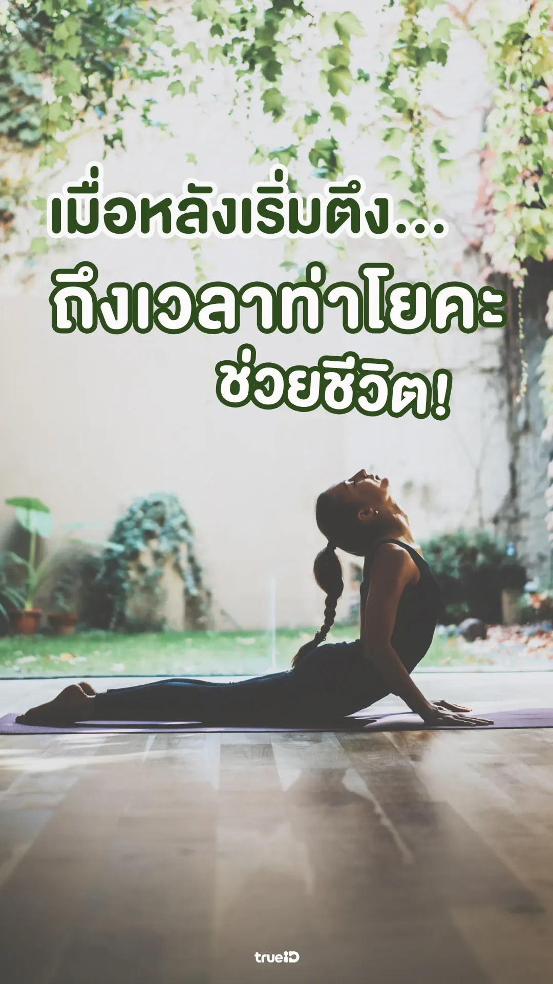 เมื่อหลังเริ่มตึง… ถึงเวลาท่าโยคะช่วยชีวิต!