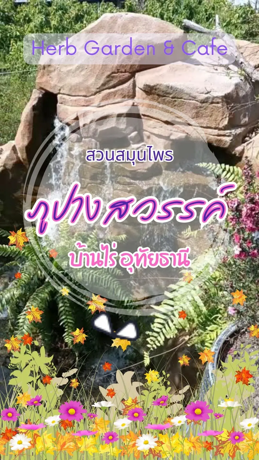 ชวนเที่ยว ทุ่งดอกไม้ สวนสมุนไพรภูปางสวรรค์ สกายวอล์คบ้านไร่ อุทัยธานี