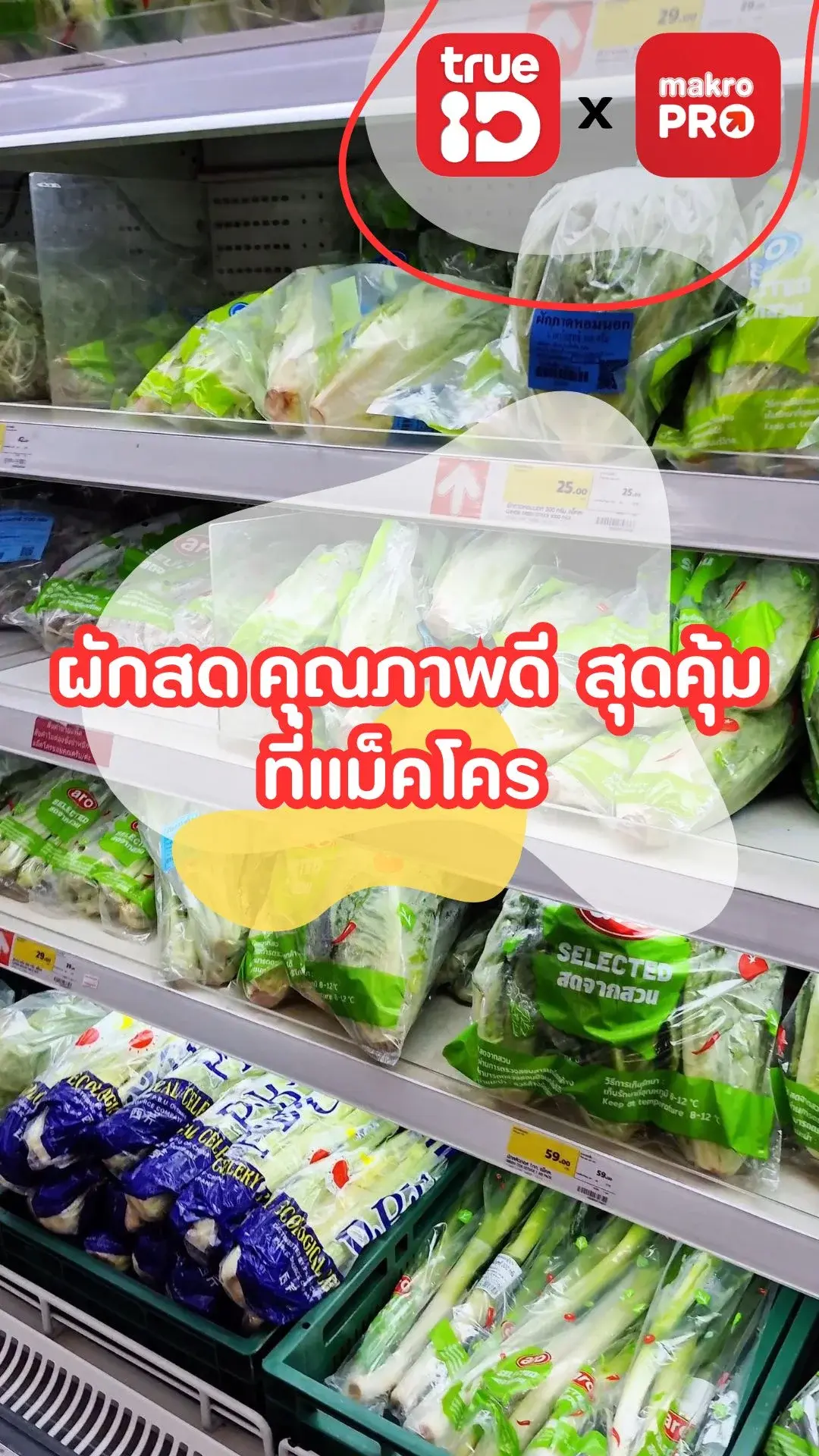 ผักสดคุณภาพดี ราคาพิเศษ ที่แม็คโคร! คุ้มสุด ๆ ห้ามพลาด!