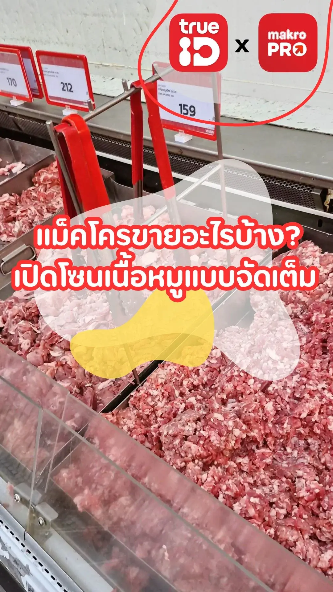 แม็คโครขายอะไรบ้าง? เปิดโซนเนื้อหมูแบบจัดเต็ม คุ้มสุด!
