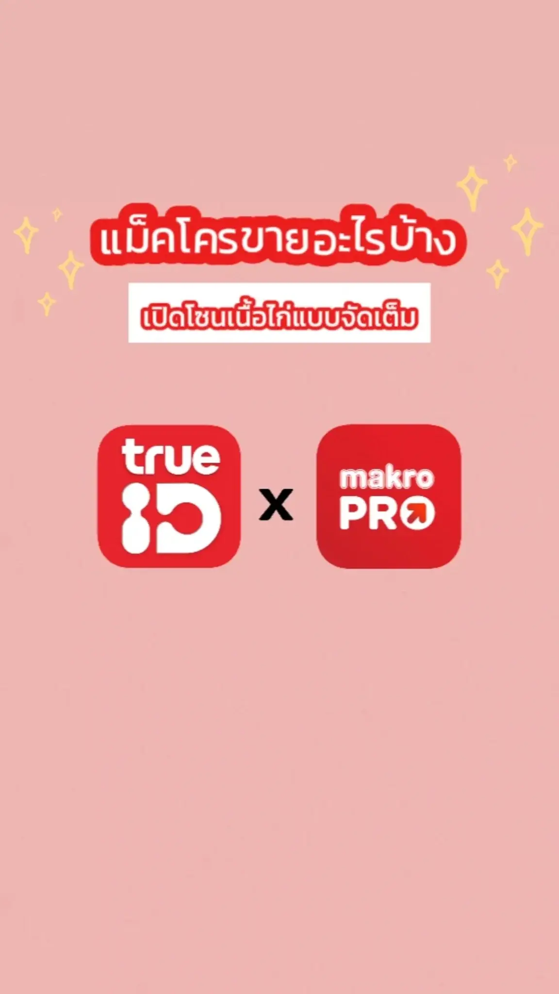 แม็คโครขายอะไรบ้าง? เปิดโซนเนื้อไก่แบบคุ้มสุด!