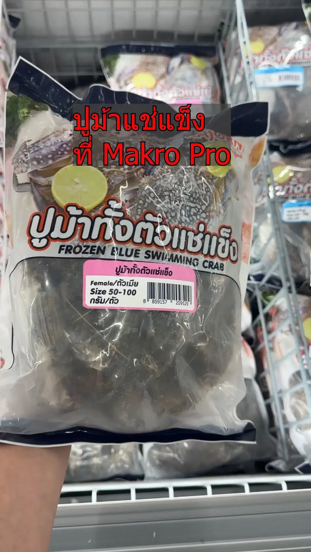 ปูม้าแช่แข็ง ปูม้าทั้งตัว ของแรร์มีขายแล้วที่แม็คโคร