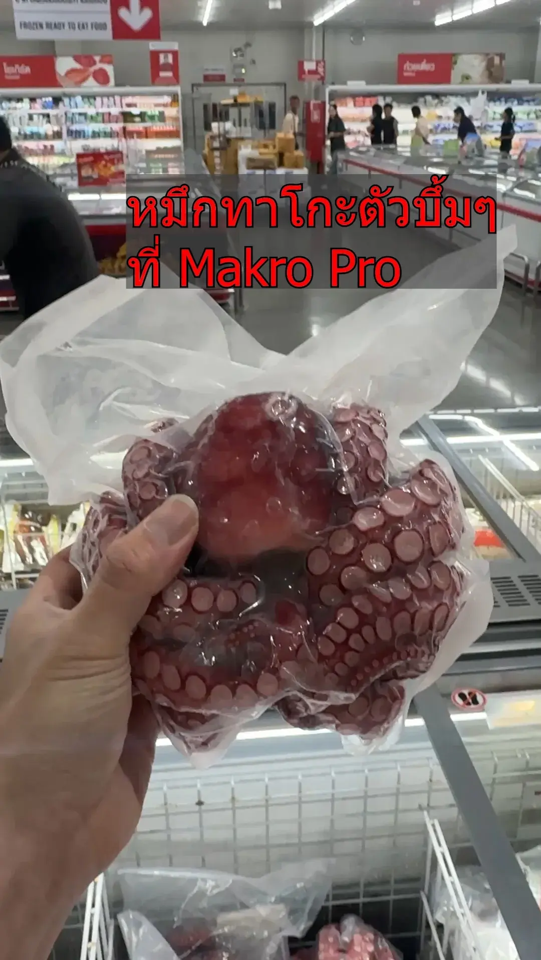 รีวิวหมึกทาโกะ หมึกยักษ์ มาเสริฟแล้ว ที่แม็คโคร