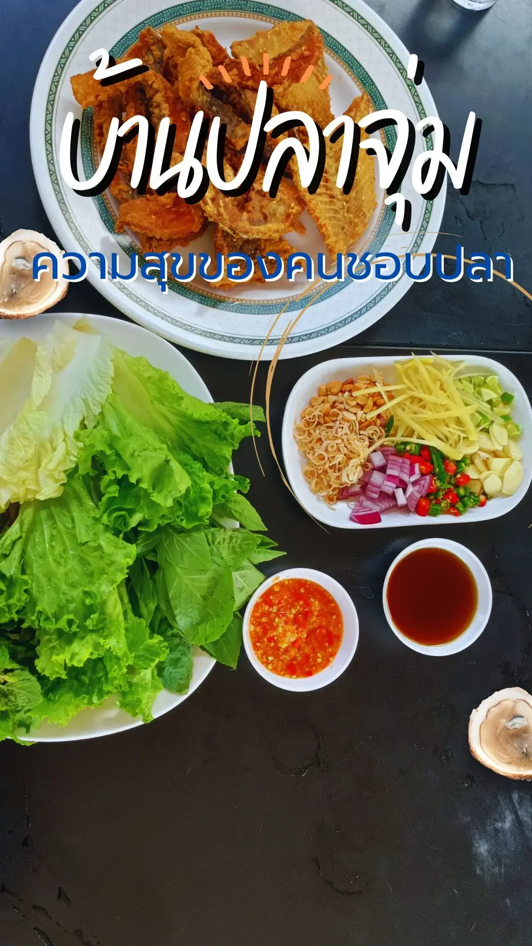 บ้านปลาจุ่ม สวรรค์ของคนชอบปลา ร้านอาหารอร่อยขอนแก่น