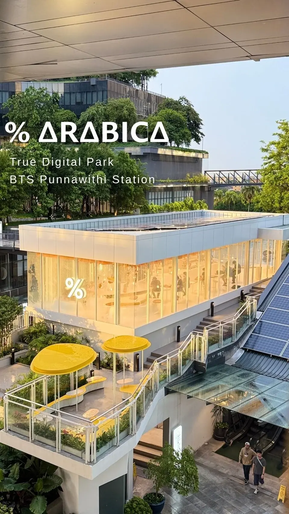 Arabica ที่ True Digital Park สาขาใหม่ คาเฟ่วิวสวนสวย ถ่ายรูปเลิศ