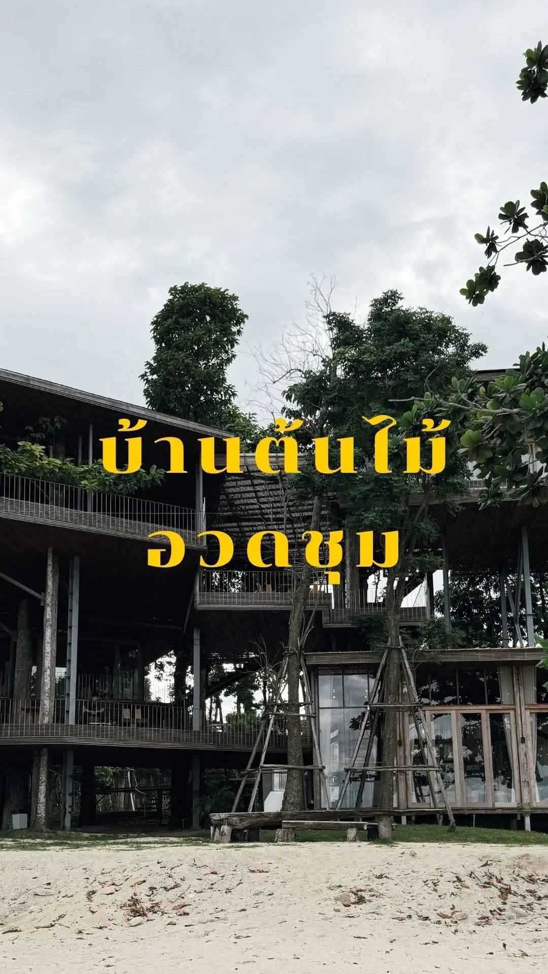 บ้านต้นไม้อวดชุม คาเฟ่ชุมพร บรรยากาศดี มุมถ่ายรูปสวยเพียบ