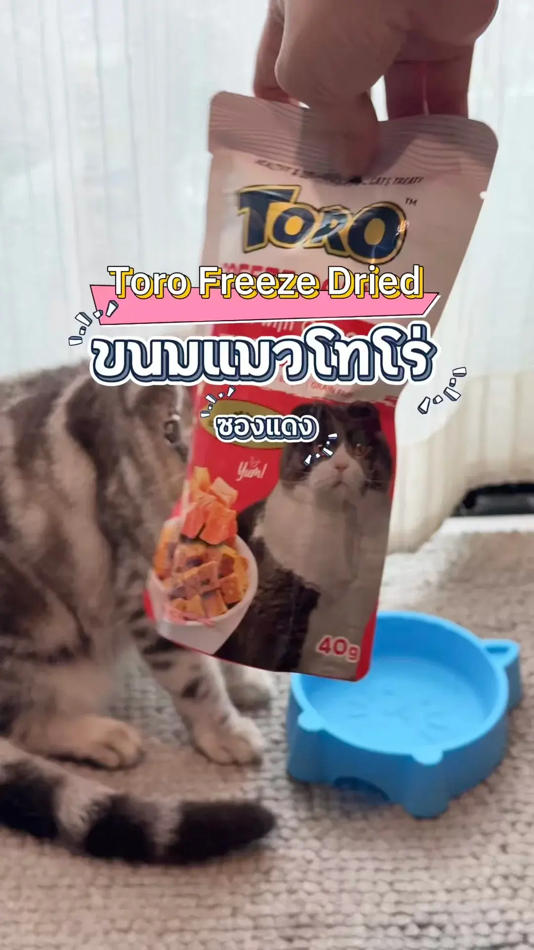 Toro Freeze Dried ขนมแมวโทโร่ ซองแดง เนื้อแซลมอนที่น้องแมวต้องชอบ