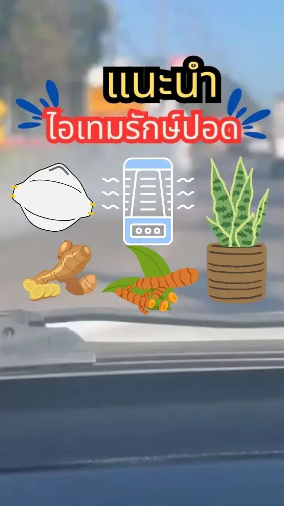 แนะนำไอเทมรักษ์ปอด เพื่อสุขภาพปอดที่ดีของเราและคนรอบข้าง