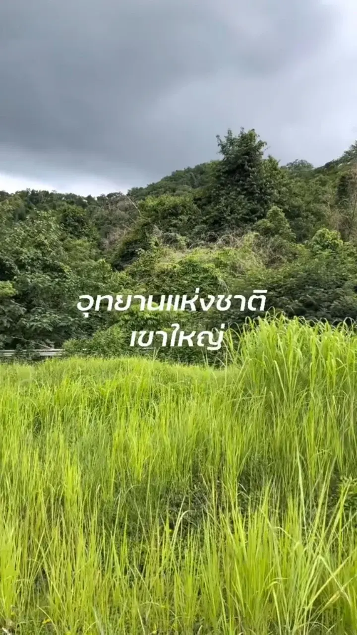 พาเที่ยวเขาใหญ่น่าฝน น่าเที่ยวแค่ไหน?