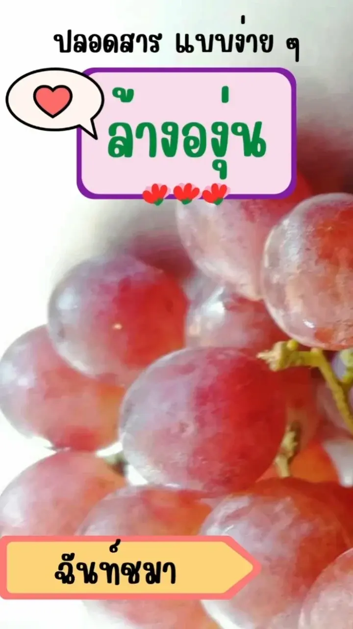 ล้างองุ่น ปลอดสาร แบบง่าย ๆ