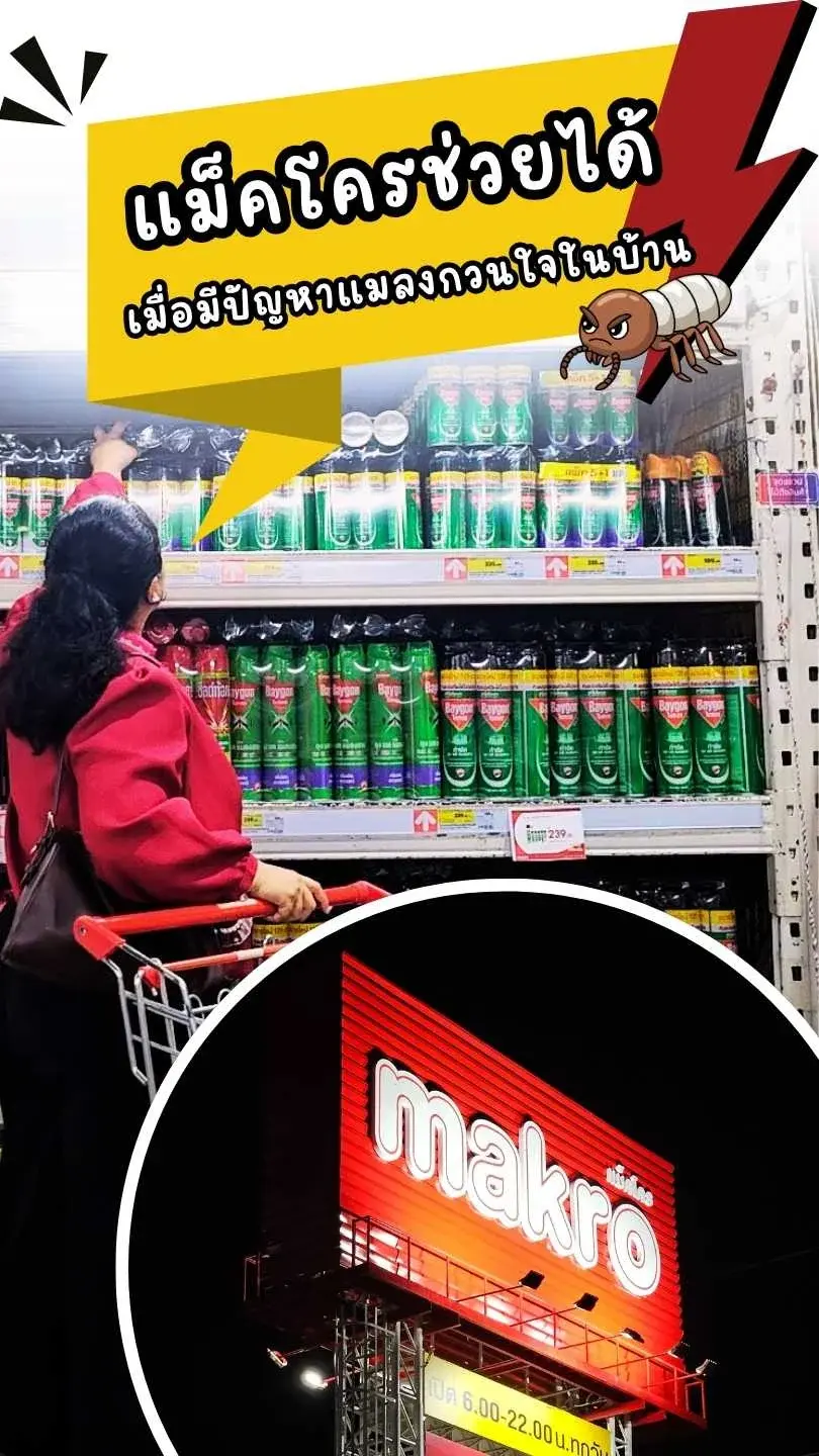 Makro ช่วยได้ !! เมื่อมีปัญหาแมลงกวนใจภายในบ้าน