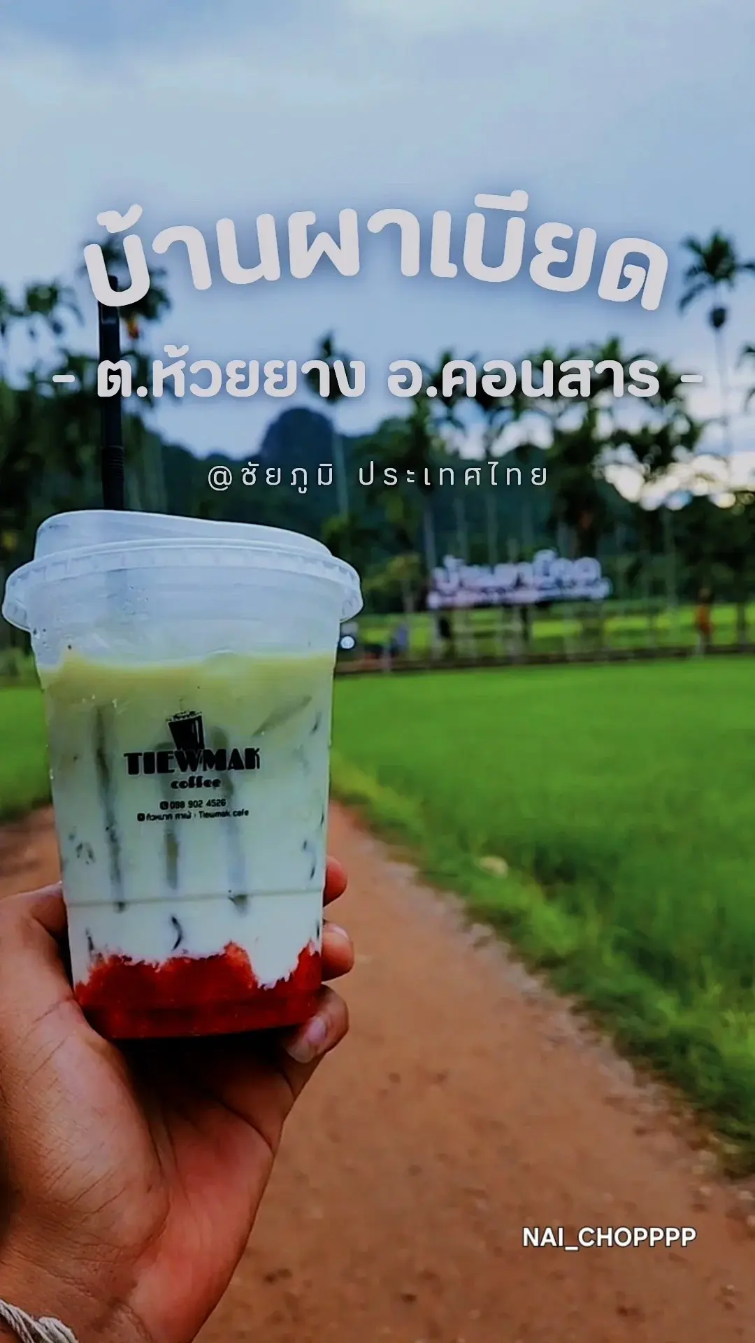 ทิวหมากบ้านผาเบียด จุดเช็คอินใหม่ ​มนต์เสน่ห์ "ทิวหมาก"  ชัยภูมิ EP2