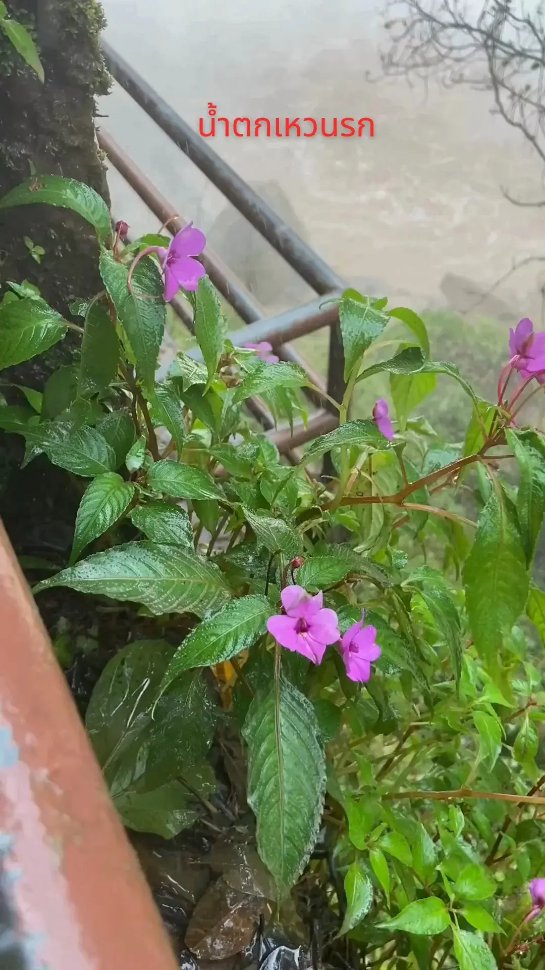 น้ำตกเหวนรก ณ อุทยานแห่งชาติเขาใหญ่