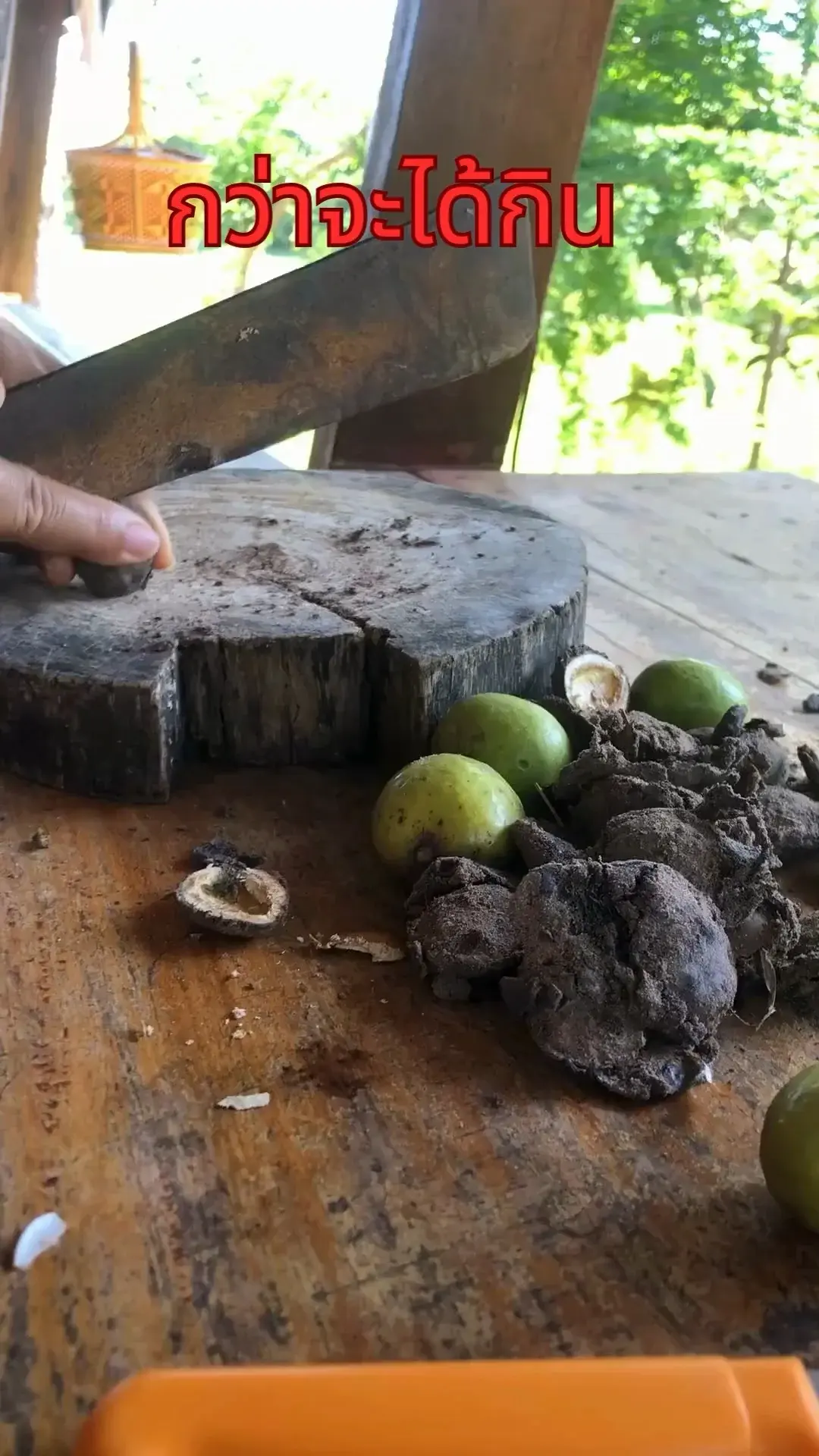 ใครมีภาพความทรงจำแบบนี้บ้าง?