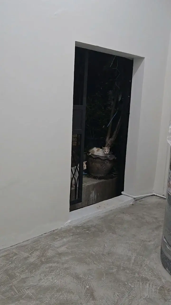 มียามส่วนตัว 🐯