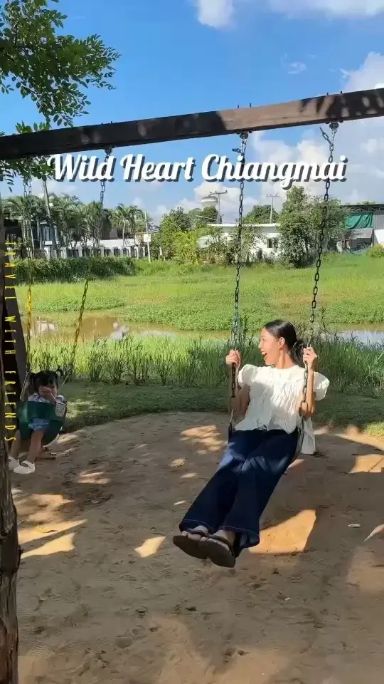 Wild Heart คาเฟ่เชียงใหม่ vibe ดี มีแต่พื้นที่สีเขียว