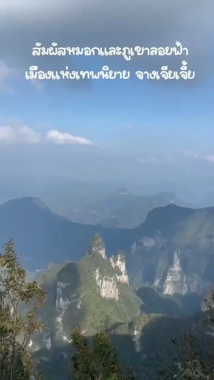 สัมผัสหมอกและภูเขา📍ลอยฟ้า เมืองแห่งเทพนิยาย จางเจียเจี้ย
