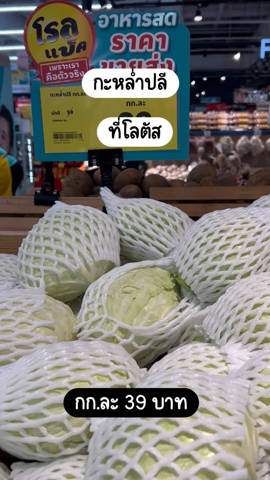 กะหล่ำปลีที่โลตัส กก.ละ 39 บาท