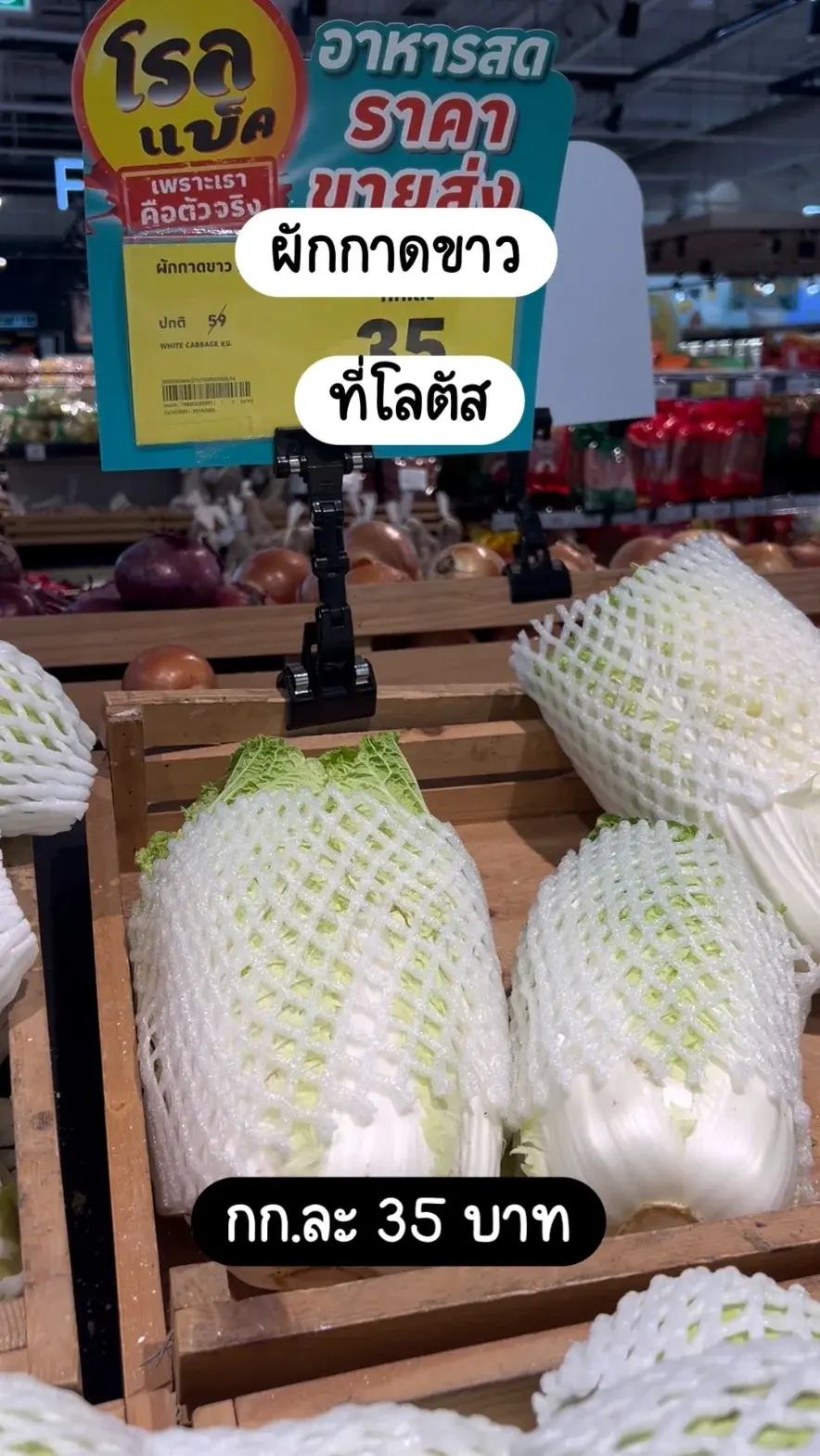 ผักกาดขาว ที่โลตัส กก.ละ 35 บาท