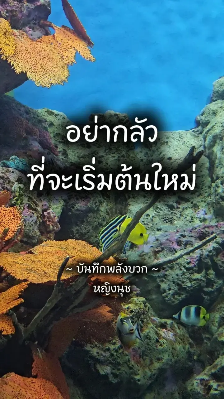 คำคมชีวิต : อย่ากลัวที่จะเริ่มต้นใหม่