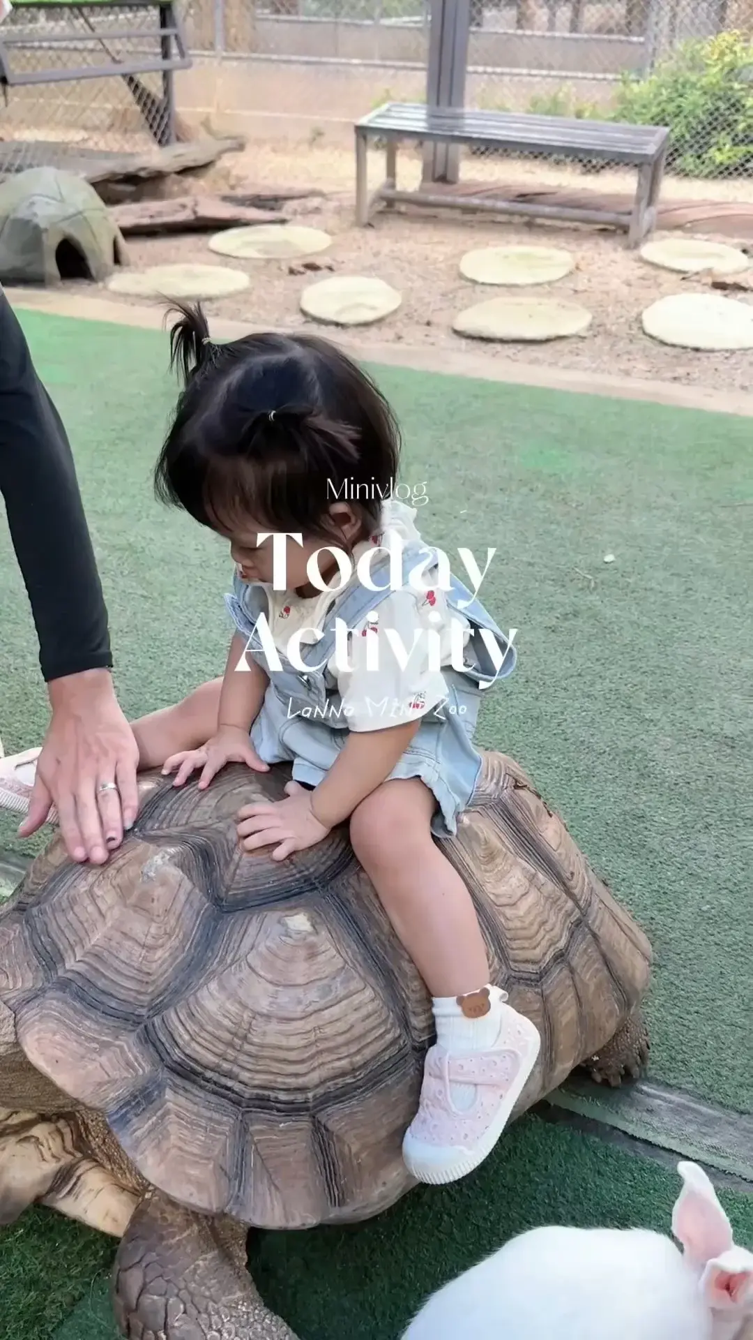 พาลูกไปดูสัตว์กัน! ที่ Lanna Mini Zoo