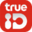 trueid.net-logo