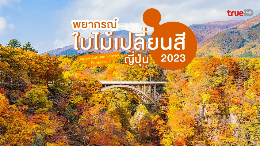พยากรณ์ใบไม้เปลี่ยนสี ญี่ปุ่น 2023 Japan Autumn Leaves Forecast