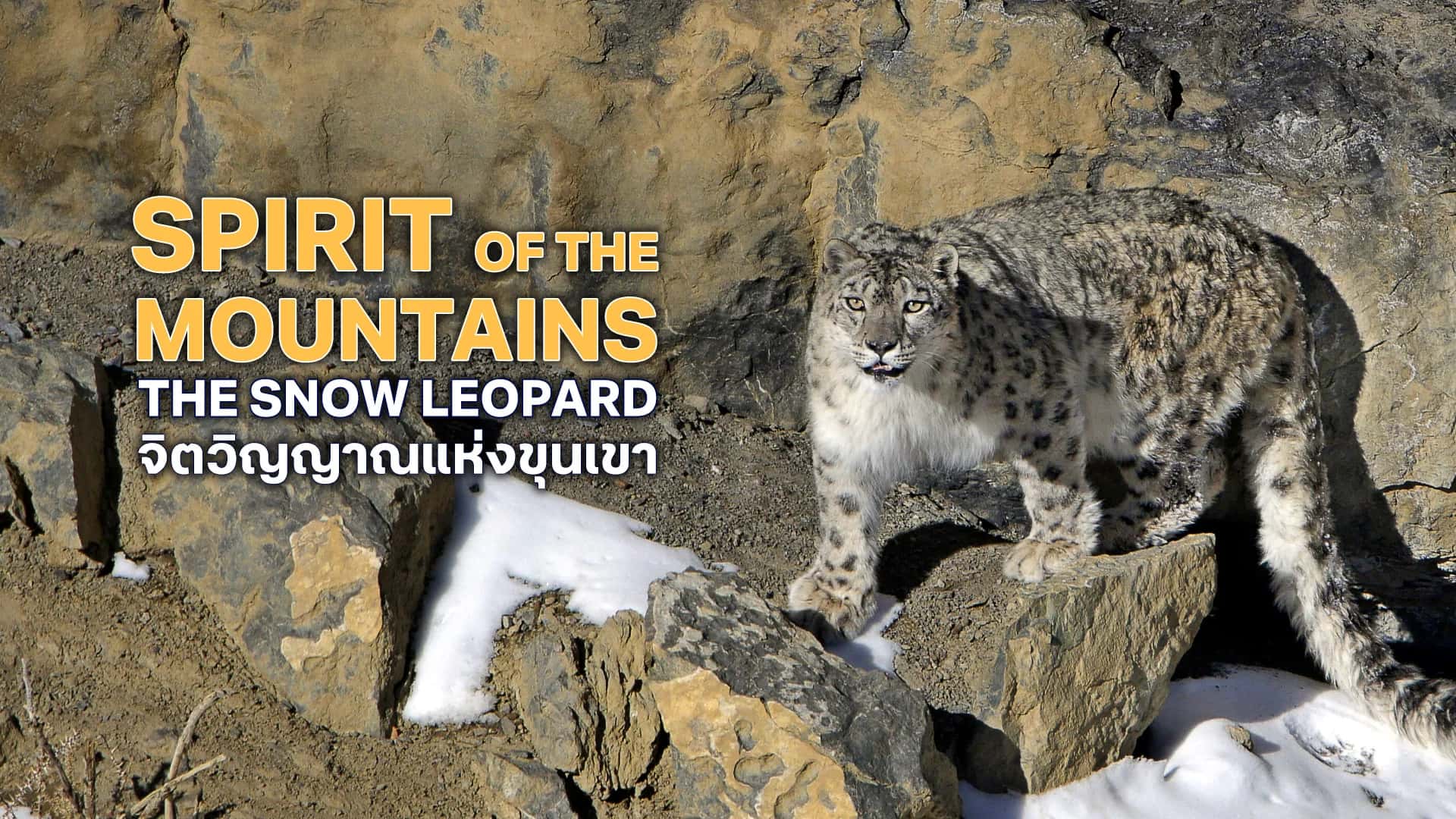 จิตวิญญาณแห่งขุนเขา