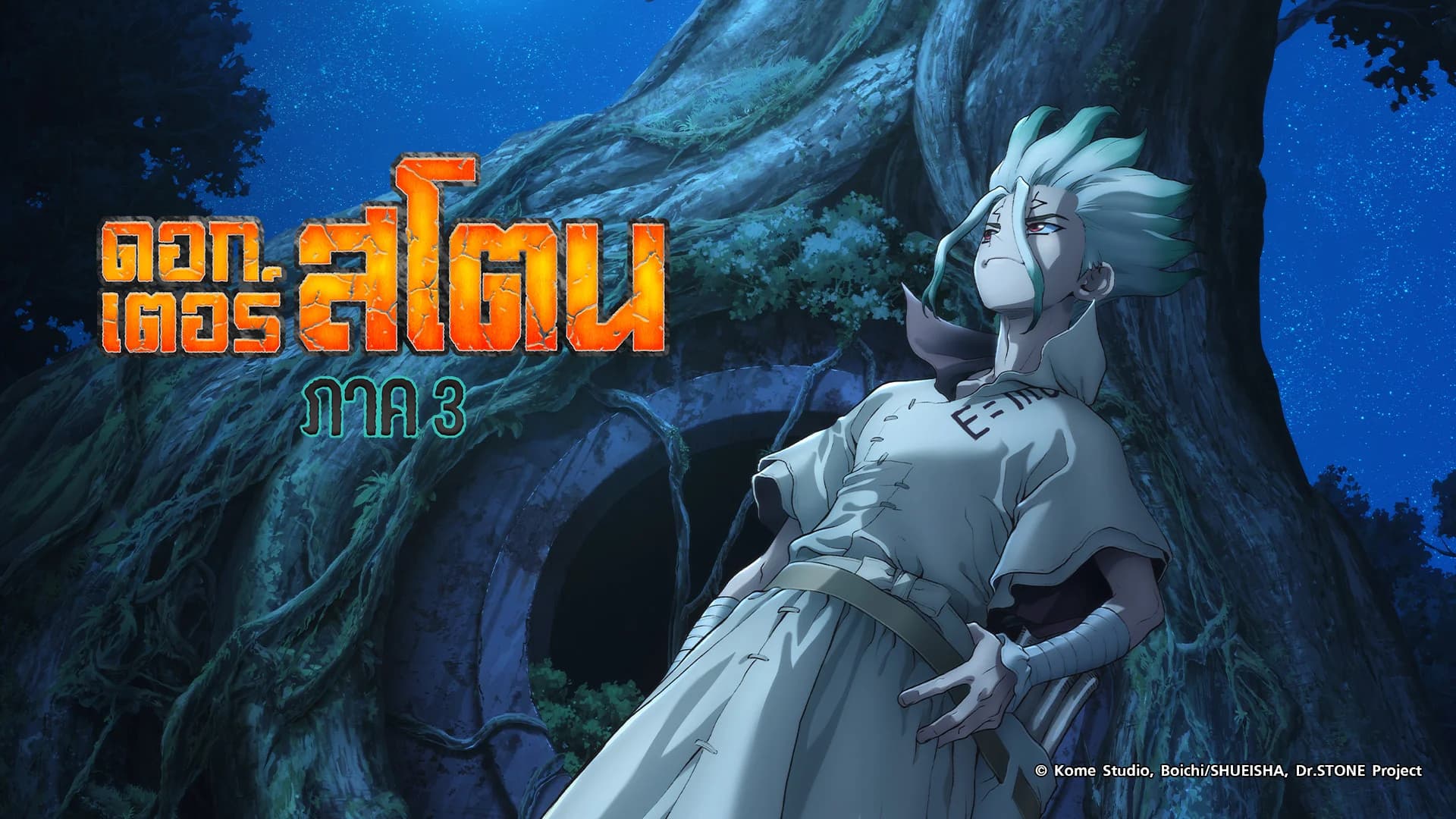 ดอกเตอร์สโตน