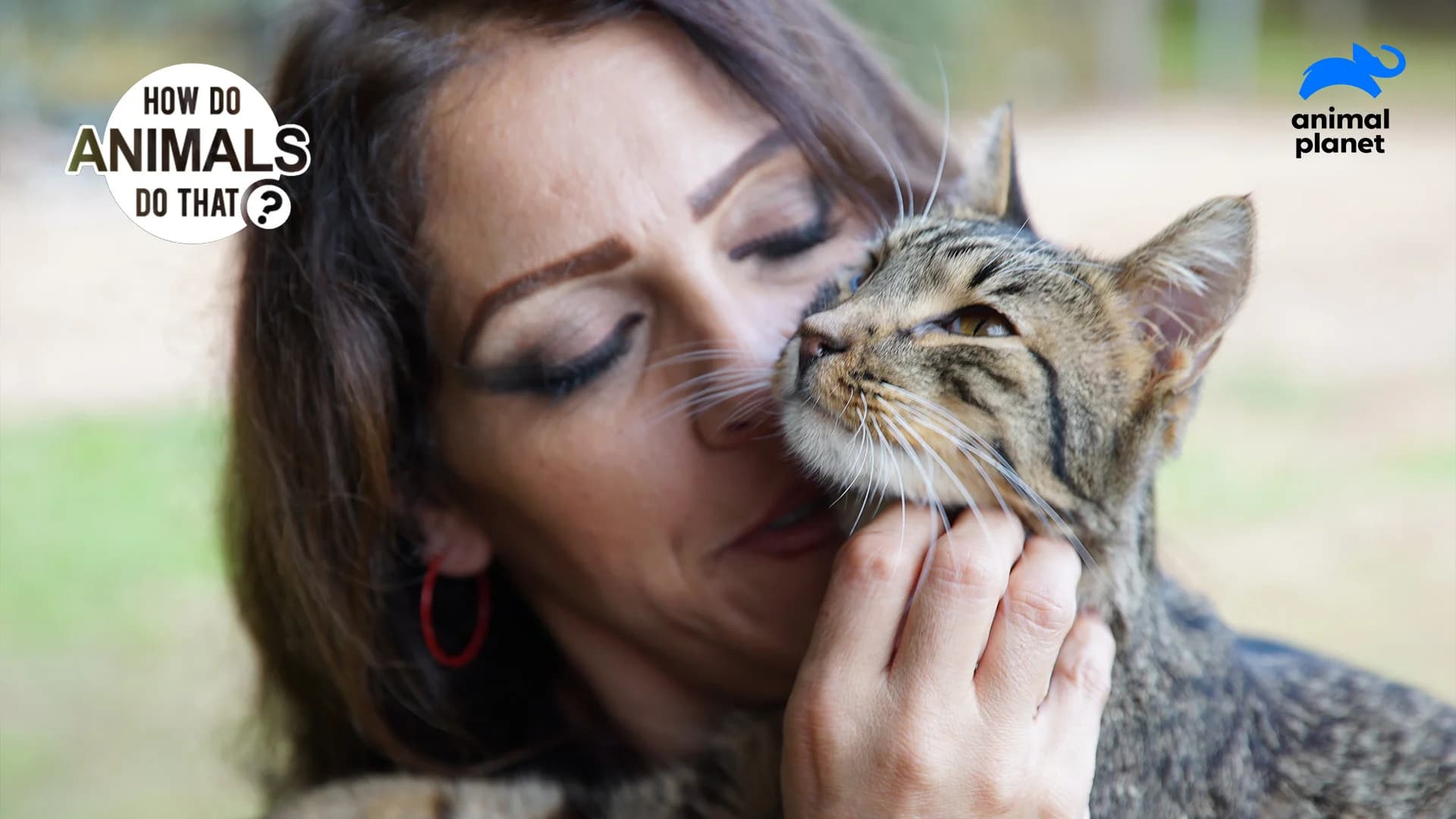 How Do Animals Do That?