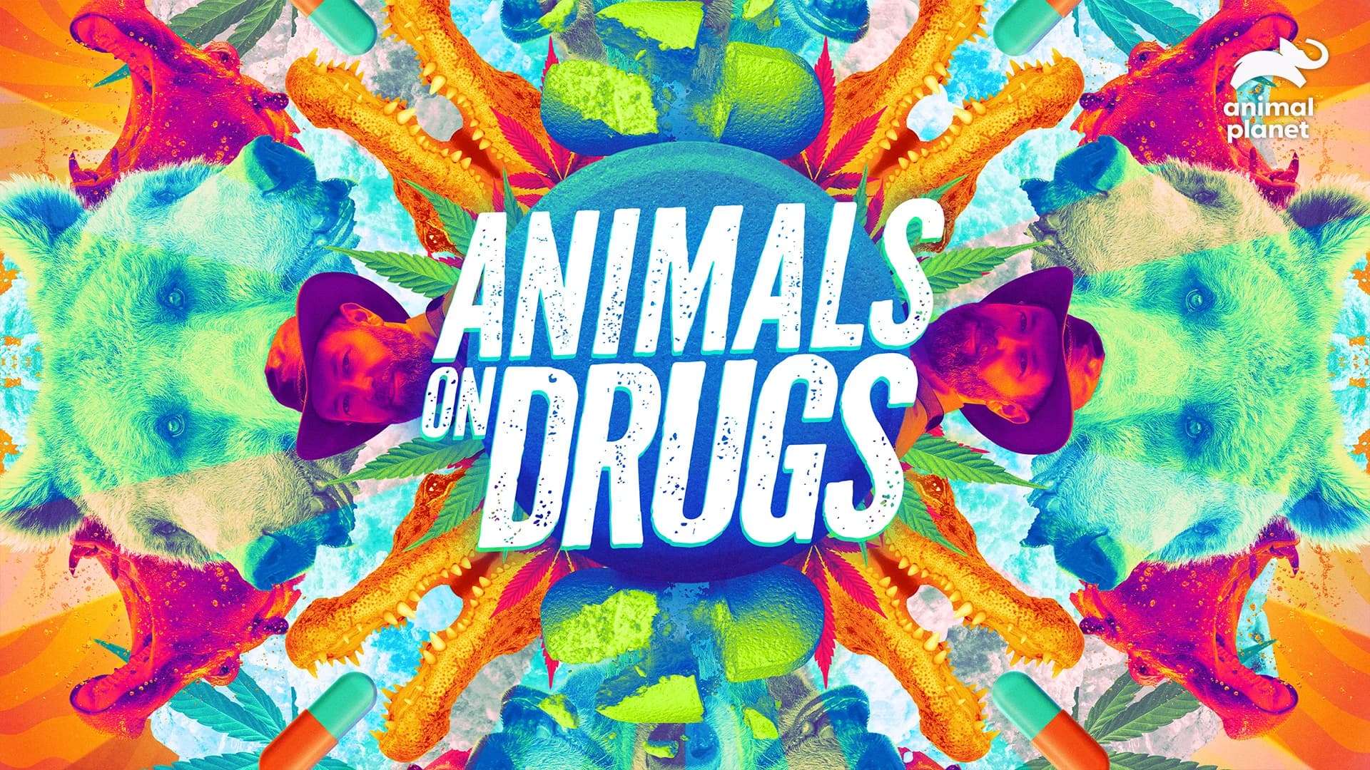Animals On Drugs