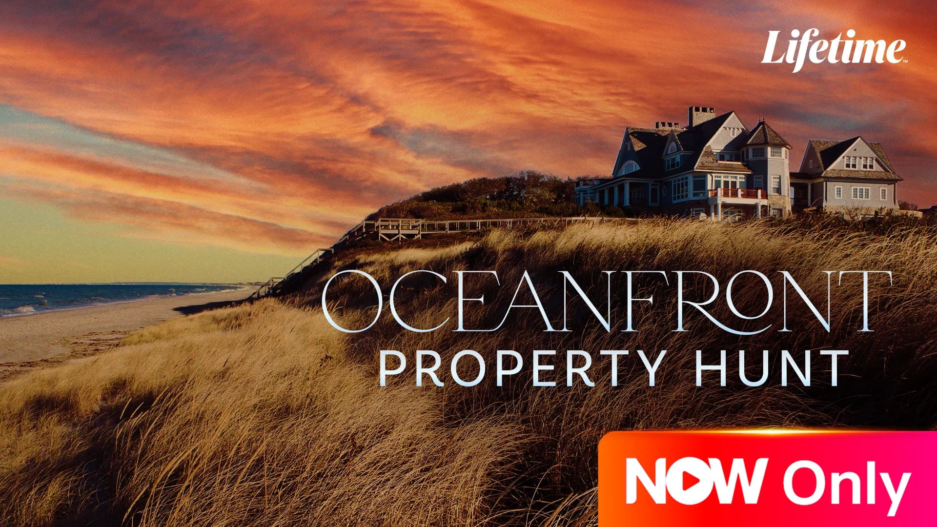 Oceanfront Property Hunt